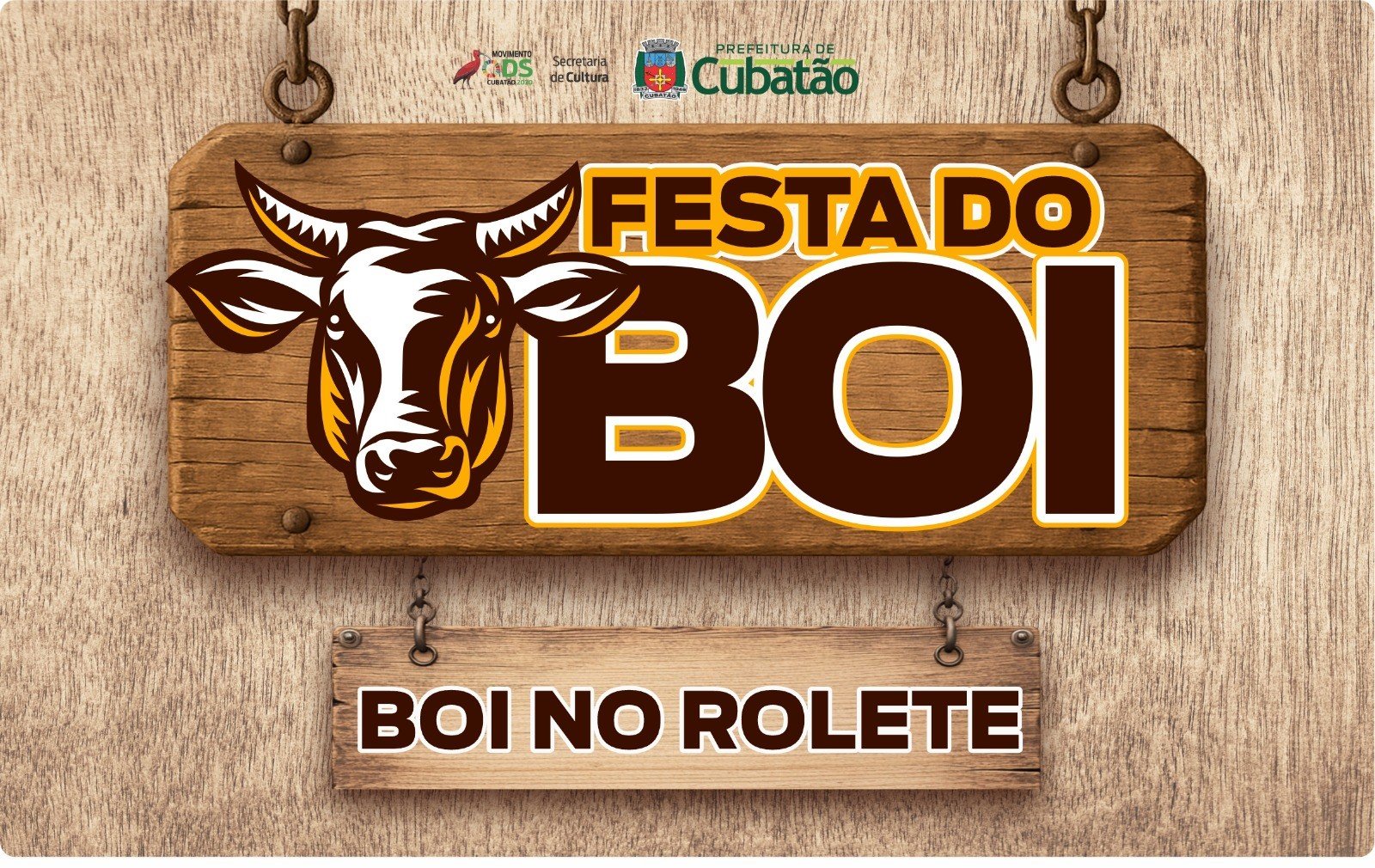 Festa do Boi